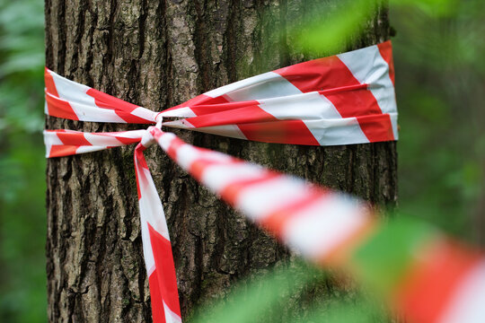 Absperrung mit Flatterband in einem Wald.