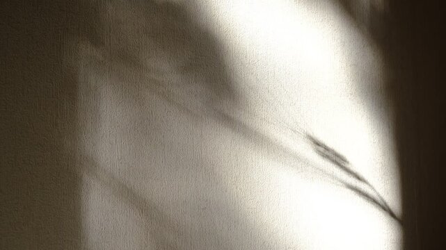 Delicate movement of shadows cast upon a white beige wall. High-contrast interplay creates a moody, contemplative atmosphere. The stark contrast lends a dramatic, cinematic quality to the scene.