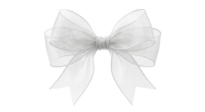 Sheer white organza bow with delicate transparent texture