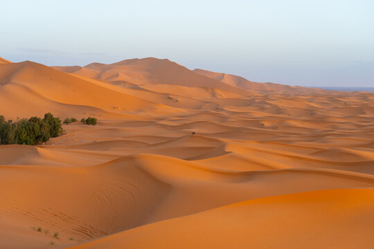 View of Sahara Desert at sunset in Morocco, Africa. The Sahara Desert is the world's largest hot desert.