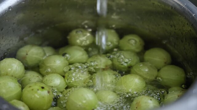 Pouring of water in vessel full of Amla ,Indian gooseberry for cleaning