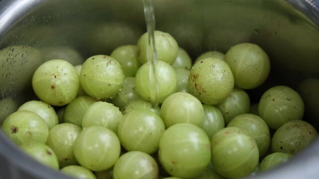 Hands cleaning a vessel full of Amla ,Indian gooseberry