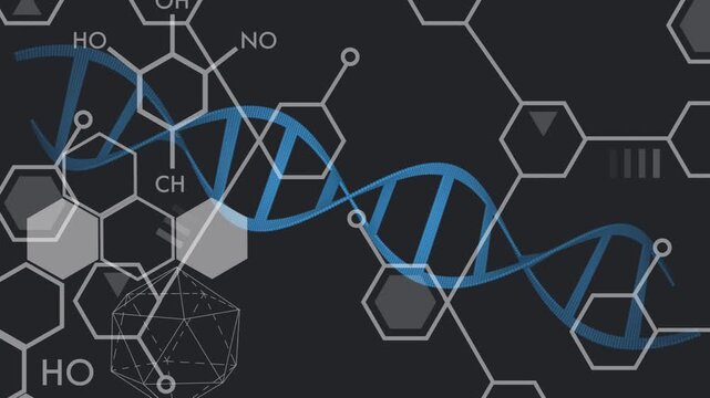 Loop start activating blue DNA helix oscillating and sliding, hexagons fading, showing network