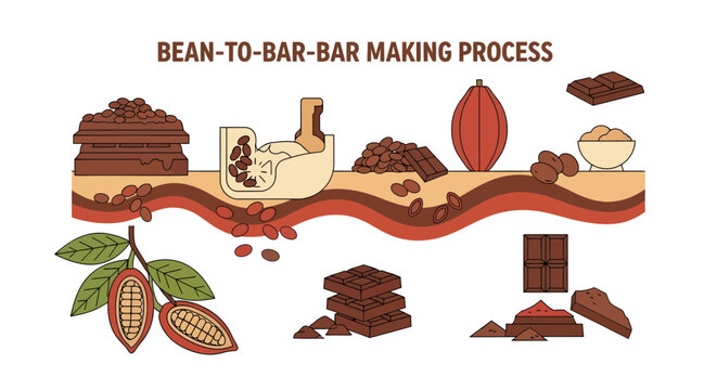 Bean-to-bar chocolate making process infographic. Detailed visual guide from cocoa pods, beans, roasting, grinding, to delicious finished bars.