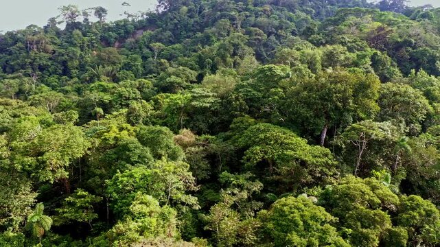 Aerial view, turning around a small hill covered in forest