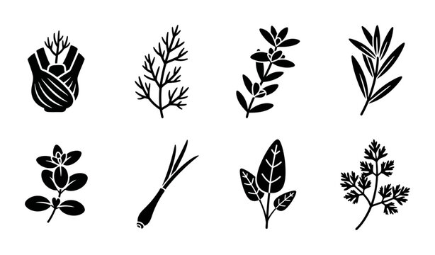 Herbal Vector Icons Set, Culinary Plant Sprigs Collection, Botanical Ingredient Graphics, Fresh Aromatic Leaf Illustrations