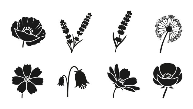 Elegant Black Floral Silhouettes, Vector Flower Icons Set, Botanical Line Art Graphics, Nature Elements Collection