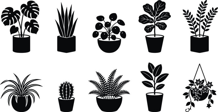 Set of ten black silhouette of various indoor houseplants in pots including monstera snake plant pilea fiddle leaf fig cactus fern and hanging ivy isolated on a white background