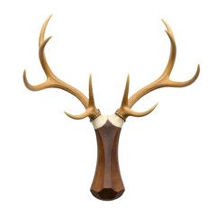 Obraz premium A close-up view of a deer's head mounted on a wall