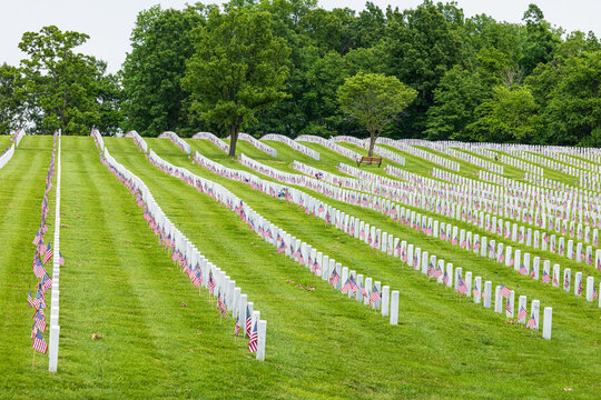 65095-04303 Jefferson Barracks National Cemetery on Memorial Day St. Louis, MO