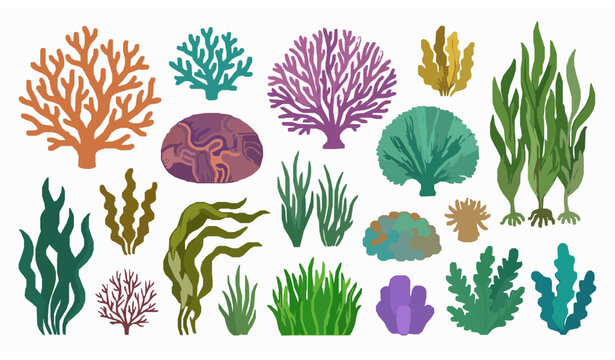 Seaweed and coral vector set EPS 10 underwater reef illustration