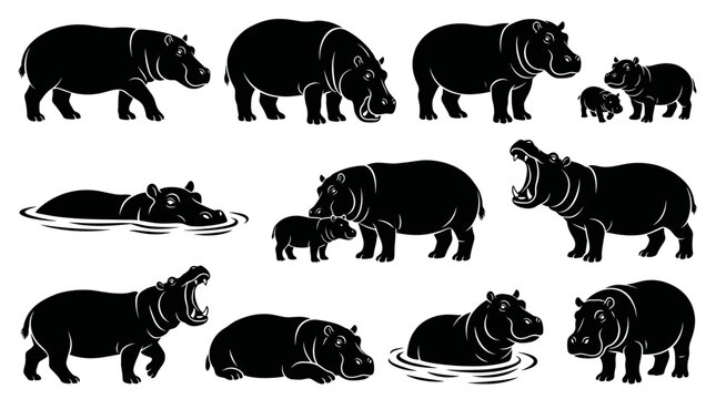 Black and white vector silhouette set of Hippopotamus.