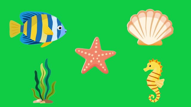 2D Animated Ocean Creatures with Cute Marine Elements for Kids Education Collection