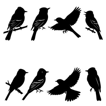 Black and white vector silhouette set of Aardvark