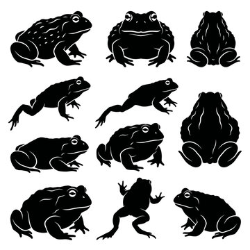 Black and white vector silhouette set of African Bullfrog