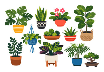 Fototapeta premium Variety of potted houseplants illustrating greenery and botanic decor for interior design, home gardening, and plant care concepts