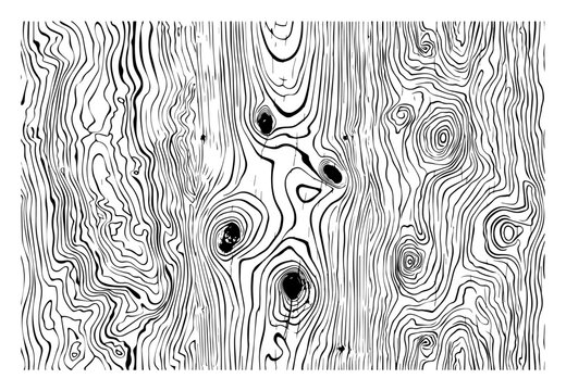 Wood Grain Texture Background Organic Tree Ring Pattern Hand Drawn Line Art Vector Illustration