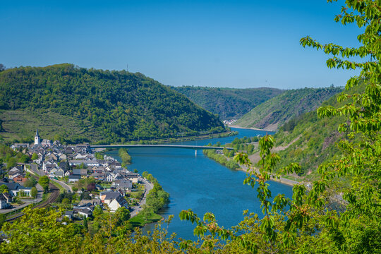 Mosel bei Brodenbach