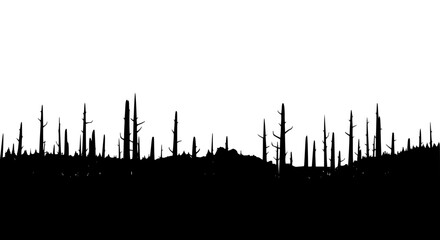 Naklejka premium black silhouette of dead trees in a burnt forest landscape