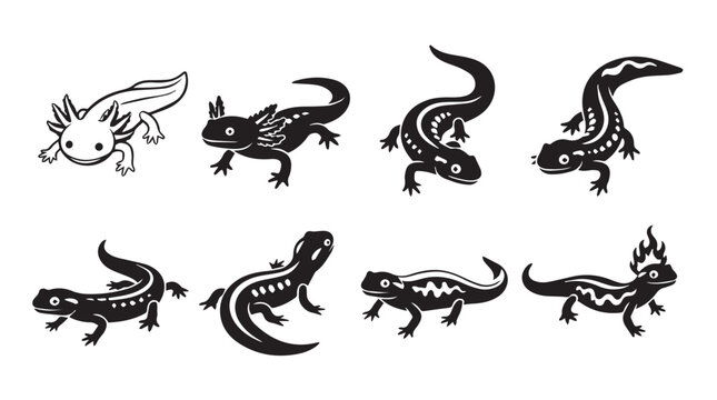 Axolotl and salamander silhouettes against white background with varied poses and details
