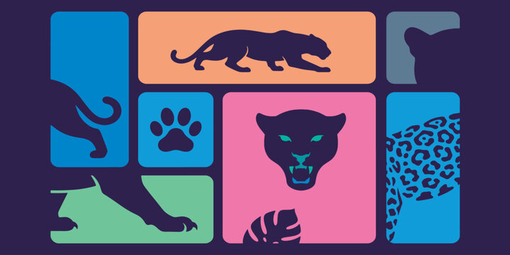 Colorful graphic illustration of various big cat species in a grid format.