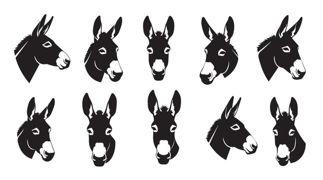 Donkey heads in silhouette against a white background showing various angles and expressions for agricultural concepts