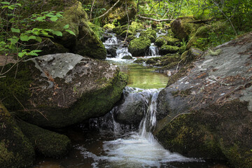 Fototapeta premium photo of stream in the forest with a small waterfall cascading over boulders through jungle like environment