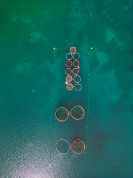 Aerial view of circular fish farm cages floating in the turquoise Mediterranean waters near Port d'Andratx, Balearic Islands, Spain.