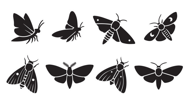 Eight distinct moth silhouettes in flight and repose against a white background representing nature and insect life