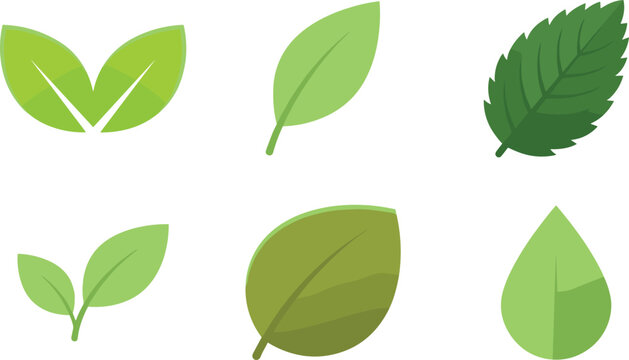 Fresh Green Flat Leaf Icons Set with Various Shapes Sprout Mint Oval and Drop Shaped Botanical Nature Vector