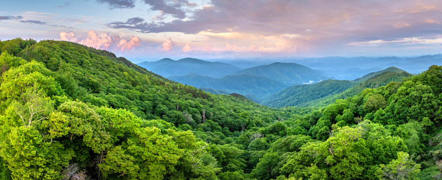 Bright sunset in Smokey Mountains summer woods. Appalachian mountains in North Carolina with fresh green forest trees in summertime season. Beauty of USA nature