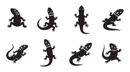 Obraz premium Lizard silhouettes in various poses against a white background with simple graphic design elements