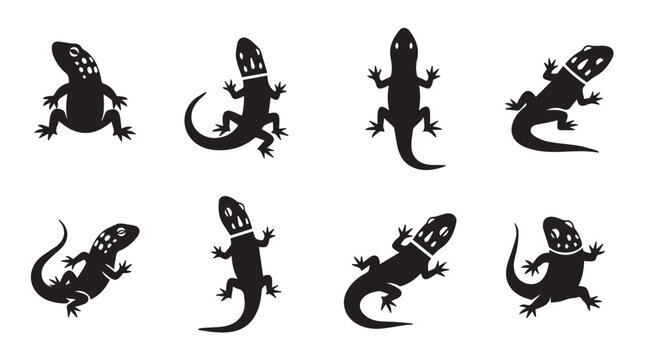 Lizard silhouettes in various poses against a white background with simple graphic design elements