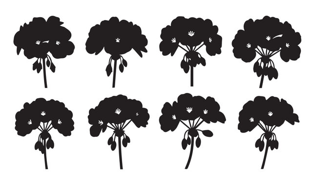 Multiple delicate geranium flower silhouettes against a clean white background in a simple botanical collection