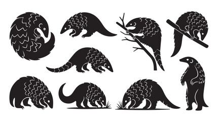 Obraz premium Pangolin collection in dynamic poses against a white backdrop during daytime with clear outlines and a simple concept