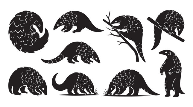 Pangolin collection in dynamic poses against a white backdrop during daytime with clear outlines and a simple concept