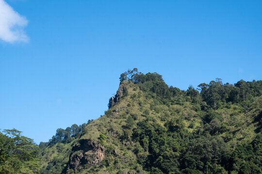 Majestic Ella Rock mountain in Sri Lanka. Rugged cliff and tropical forest on the summit under a clear blue sky.