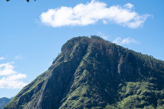 Majestic Ella Rock mountain in Sri Lanka. Rugged cliff and tropical forest on the summit under a clear blue sky.