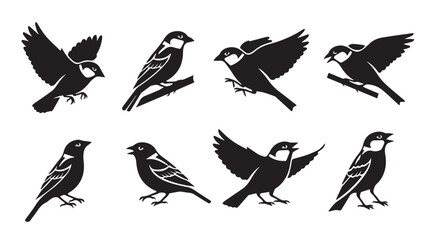 Fototapeta premium Sparrow silhouettes in various poses against a white background showcasing flight and perching actions