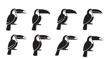 Fototapeta premium Toucan birds in silhouette against a white background during a studio shoot representing tropical fauna