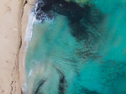Aerial view of the turquoise waters and sandy shoreline of Cala Mendia beach with gentle waves and dark seaweed patches Cala Mendia, Illes Balears, Spain.