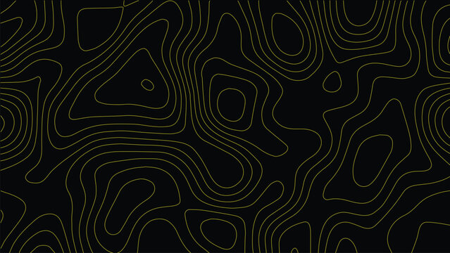 Thin gold contour lines forming an abstract topographic map pattern against a solid black background with organic flowing shapes and concentric circular formations