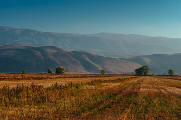 Fototapeta premium Golden autumn field with rolling mountains in Kyrgyzstan landscape