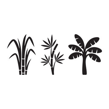 Tropical Plant Silhouette Set with Bamboo Banana and Sugarcane