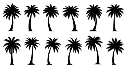 Fototapeta premium Collection of various palm tree silhouettes.