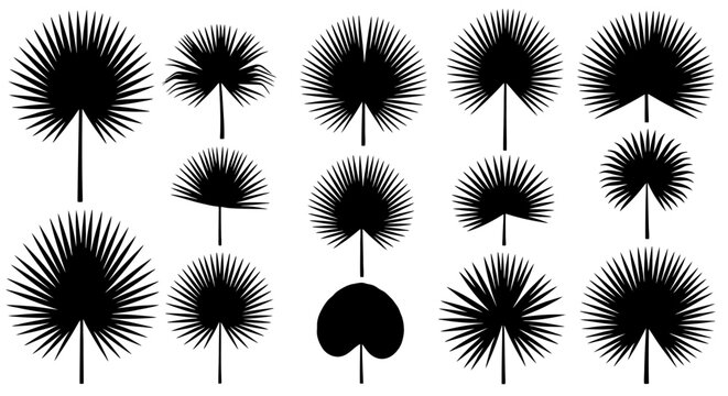 Black silhouettes of various dandelion flowers.