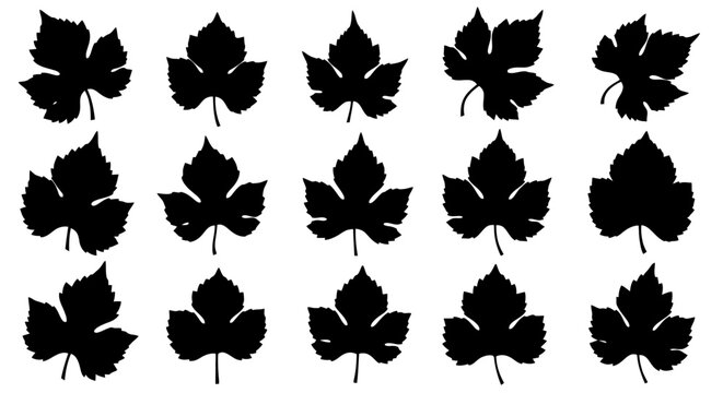 Collection of various leaf silhouettes on white background.
