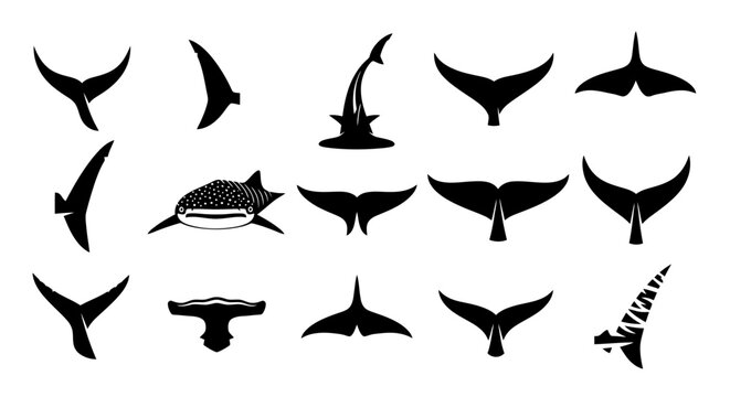 Collection of various whale and shark tail silhouettes.