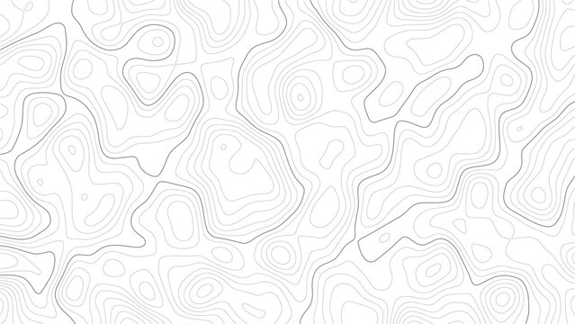 Topographic map contour lines pattern with thin grey strokes on a white background representing elevation data and geographical terrain mapping