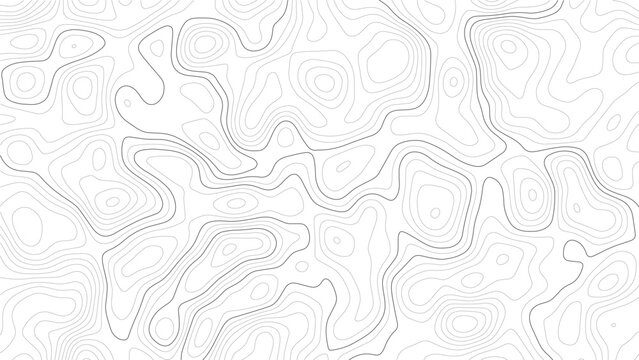 Topographic map contour lines pattern with thin grey strokes on a white background representing elevation data and geographical terrain mapping in a repeating abstract style